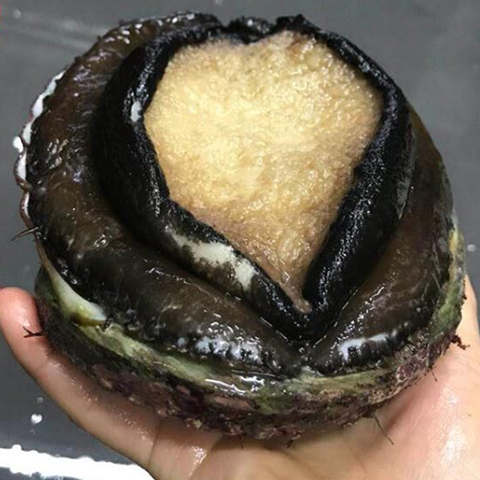 &#112;&#112;&#30005;&#23376;&#40;&#20013;&#22269;&#28216;&#41;&#23448;&#26041;&#22312;&#32447;&#24179;&#21488;