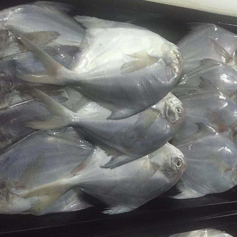 &#112;&#112;&#30005;&#23376;&#40;&#20013;&#22269;&#28216;&#41;&#23448;&#26041;&#22312;&#32447;&#24179;&#21488;